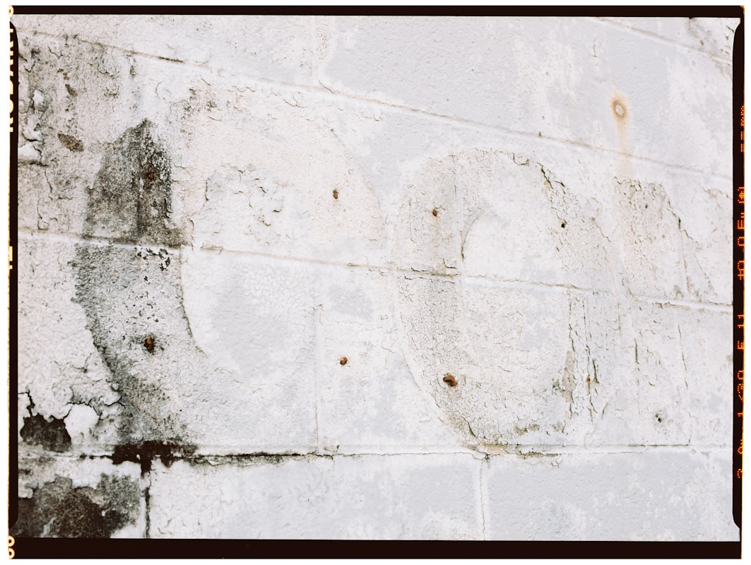 Flood Cleanup service in Wheaton, IL